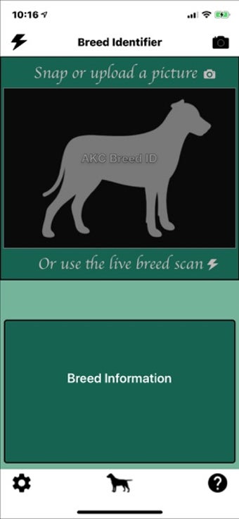 Image 2 for Dog Breed Identifier