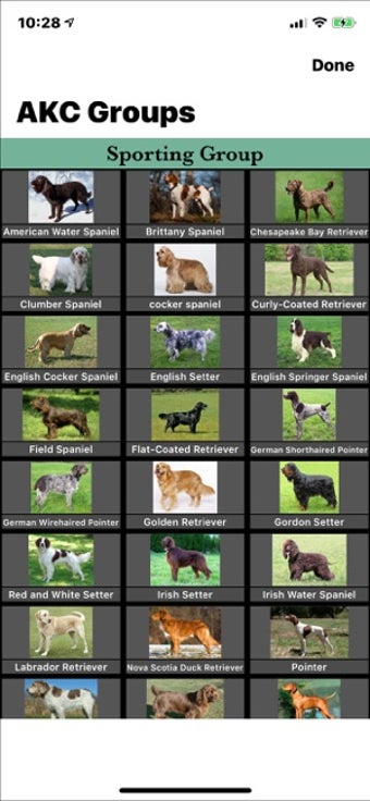 Image 1 for Dog Breed Identifier