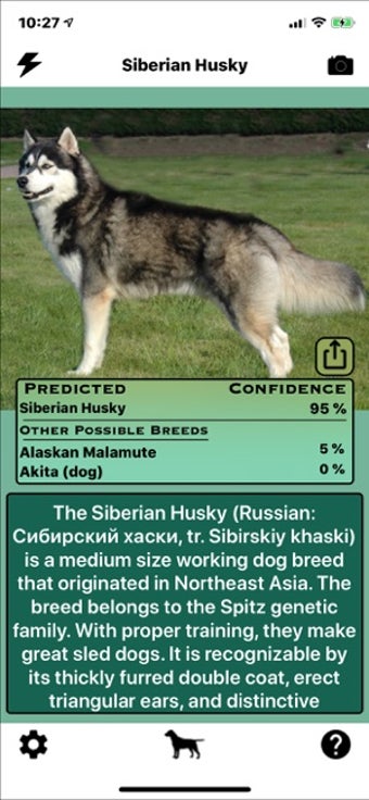Image 3 for Dog Breed Identifier