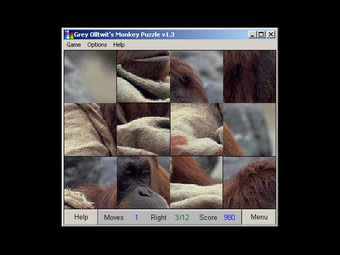 Image 0 for Monkey Puzzle