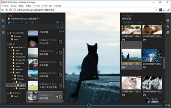 Image 0 for NeeView