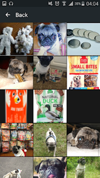 Imagen 0 para Pug Dog