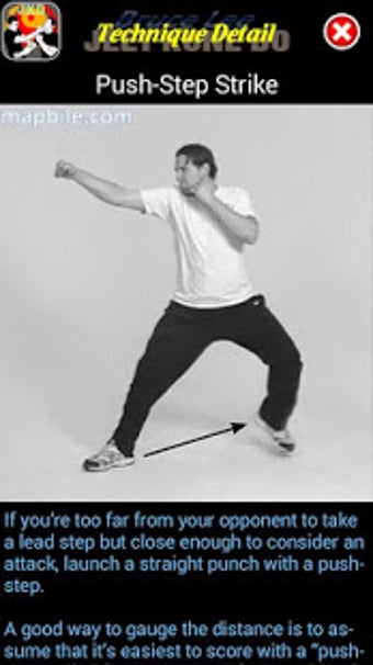 Imagen 3 para Bruce Lee Jeet Kune Do