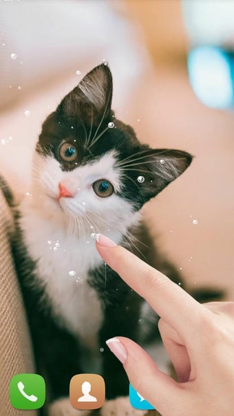 Imagen 0 para Cute cat Live wallpaper