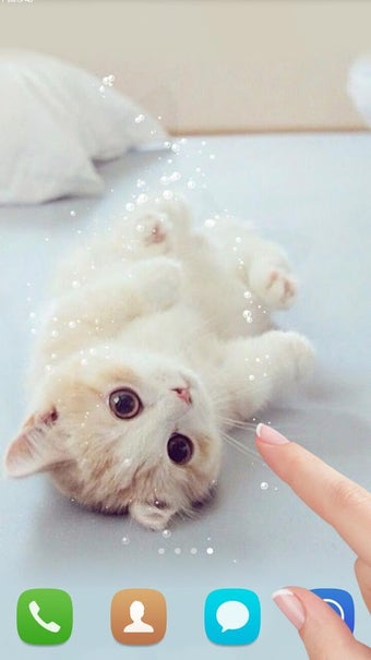 Imagen 2 para Cute cat Live wallpaper