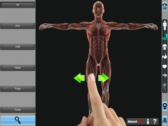 Image 0 for Anatomy 3D for iPad