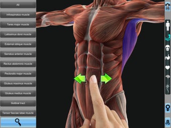 Image 3 for Anatomy 3D for iPad