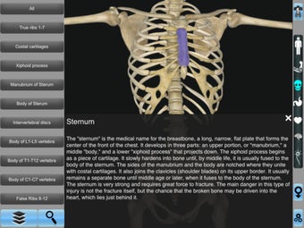 Image 1 for Anatomy 3D for iPad