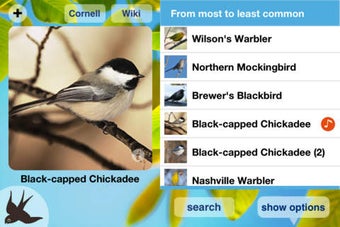 Imagen 0 para Chirp Bird Songs USA +