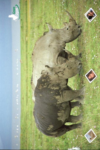 Image 0 for Views of Kenya