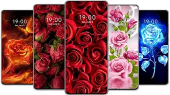 Image 0 for Rose Flower Wallpaper HD