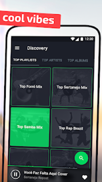Imagen 1 para Music Stream Hub
