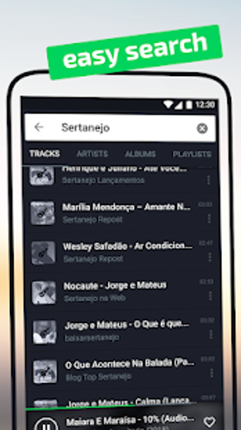 Imagen 3 para Music Stream Hub