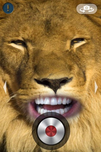 Image 0 for Talking Animals Face Cam