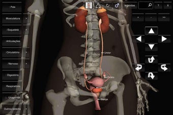 Image 0 for Introduo a Anatomia Human…