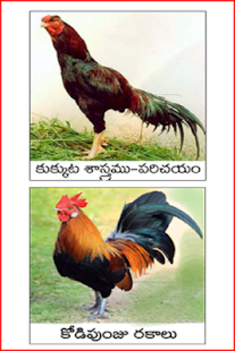 Image 0 for Kukkuta Sastram Telugu