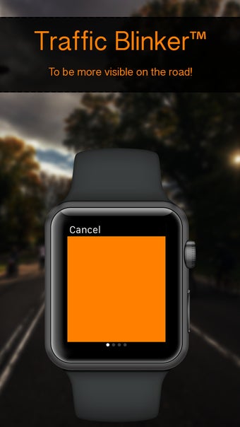 Image 0 for Traffic Blinker