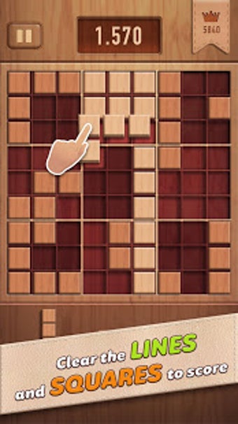 Image 0 for Woody 99 - Sudoku Block P…