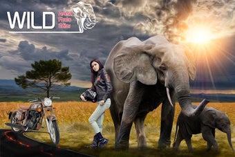 Image 1 for Wild Animal Photo Editor …