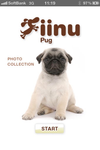 Imagen 0 para Look!Pug