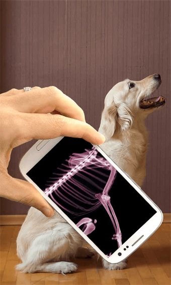 Image 0 for Human X Ray Scanner Prank…