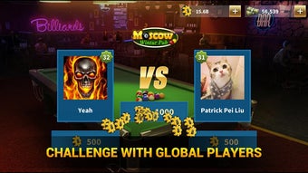 Image 2 for Pool Master
