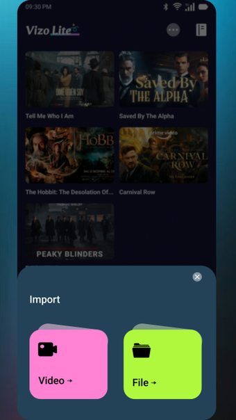 Image 1 for Vizo Lite