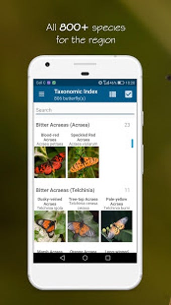 Imagen 2 para Woodhall's Butterflies RS…