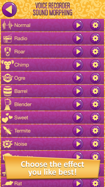 Image 3 for Voice Recorder Sound Morp…