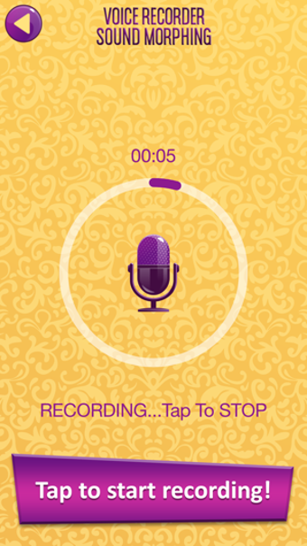 Image 2 for Voice Recorder Sound Morp…