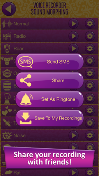Image 1 for Voice Recorder Sound Morp…