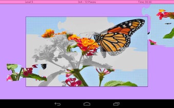 Image 0 for Butterfly Puzzle
