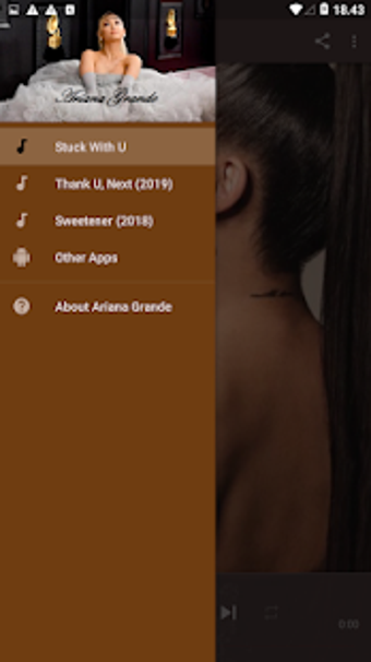 Image 0 for Ariana Grande "Stuck With…