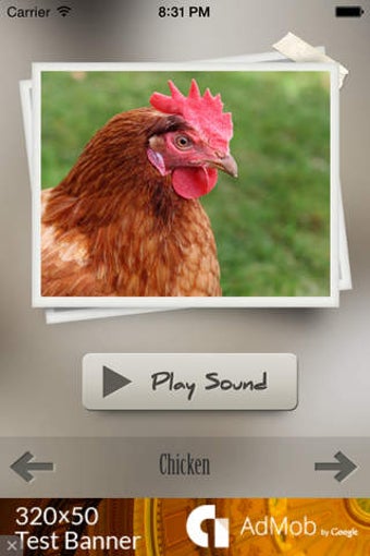 Image 0 for Bird Sounds Ultra