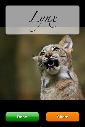 Imagen 0 para Animal Scanner - Scan you…