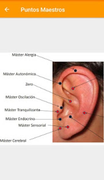 Image 1 for Auriculoterapia Pro - Lot…