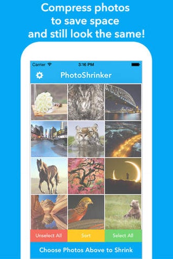 Image 0 for PhotoShrinker