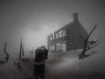 Imagen 0 para The Snowfield