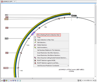 Image 1 for CLC Sequence Viewer