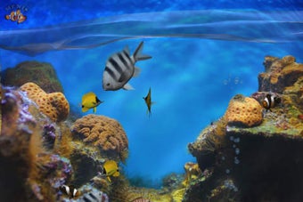 Imagen 0 para Fish Fingers! 3D Interact…