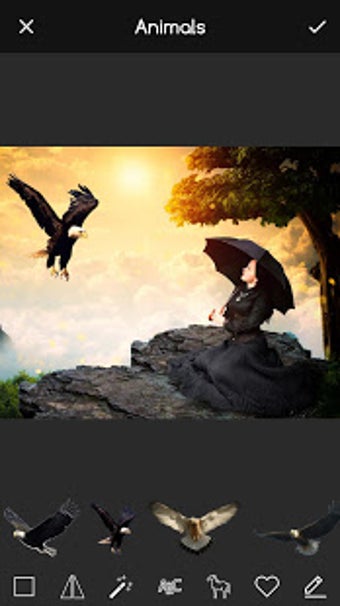 Imagen 0 para Heaven Frames for Picture…