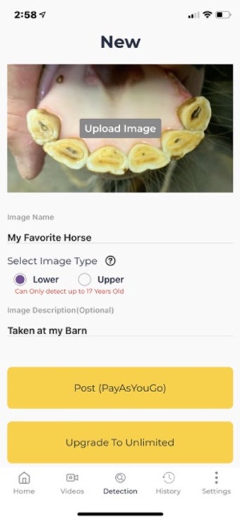 Image 3 for CHAP - Horse Aging Servic…