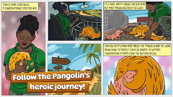 Image 0 for Pangolin Rescue