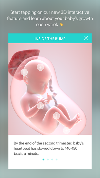 Imagen 0 para The Bump Pregnancy Tracke…