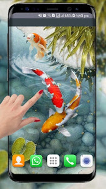 Imagen 2 para Fish Live Wallpaper free:…