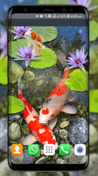 Image 0 for Fish Live Wallpaper free:…