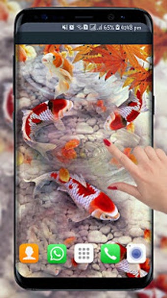 Imagen 1 para Fish Live Wallpaper free:…
