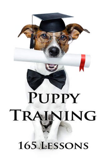 Imagen 0 para Puppy Training