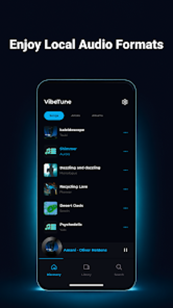Imagen 0 para VibeTune - Offline Player