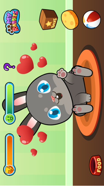 Image 0 for My Virtual Rabbit ~ Bunny…